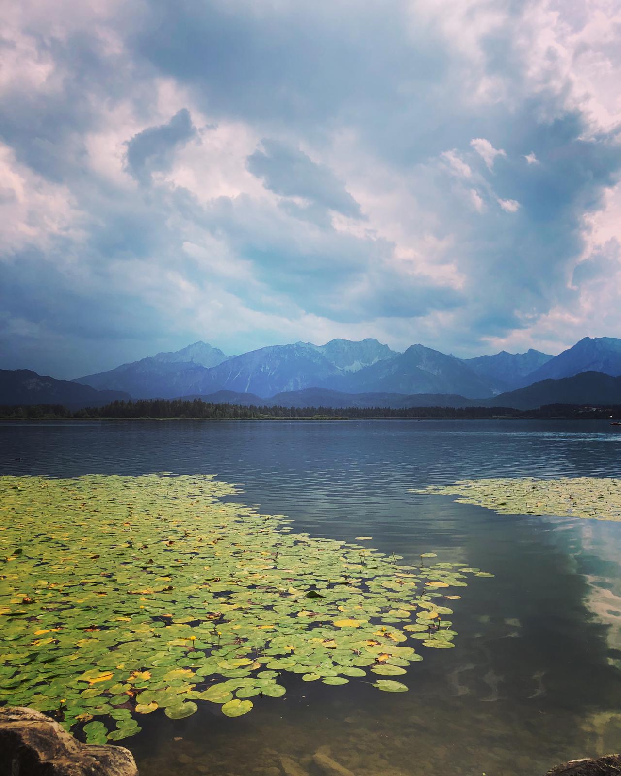 Unsere Fastenvorstätze für 2019 – Update (Teil 2) Unsere Fastenvorstätze für 2019 – Update (Teil 2)